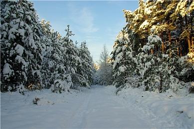 Steam喜加一：《小缇娜强袭龙堡》限时免费领取